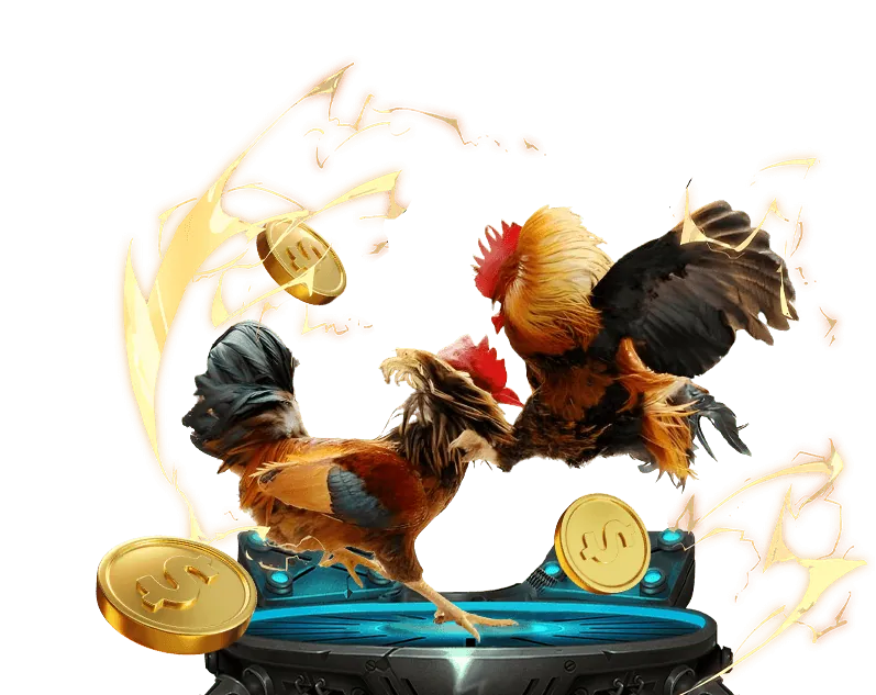 Luật chơi và quy định đá gà 789win club